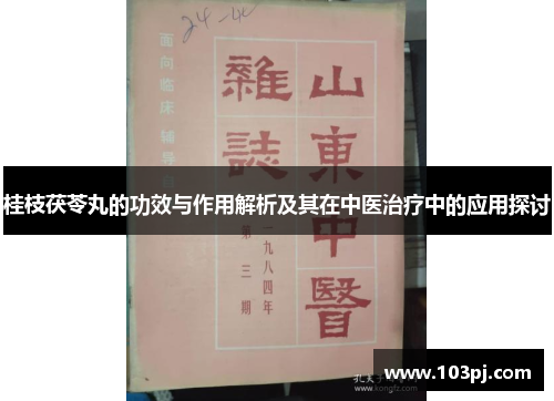 桂枝茯苓丸的功效与作用解析及其在中医治疗中的应用探讨